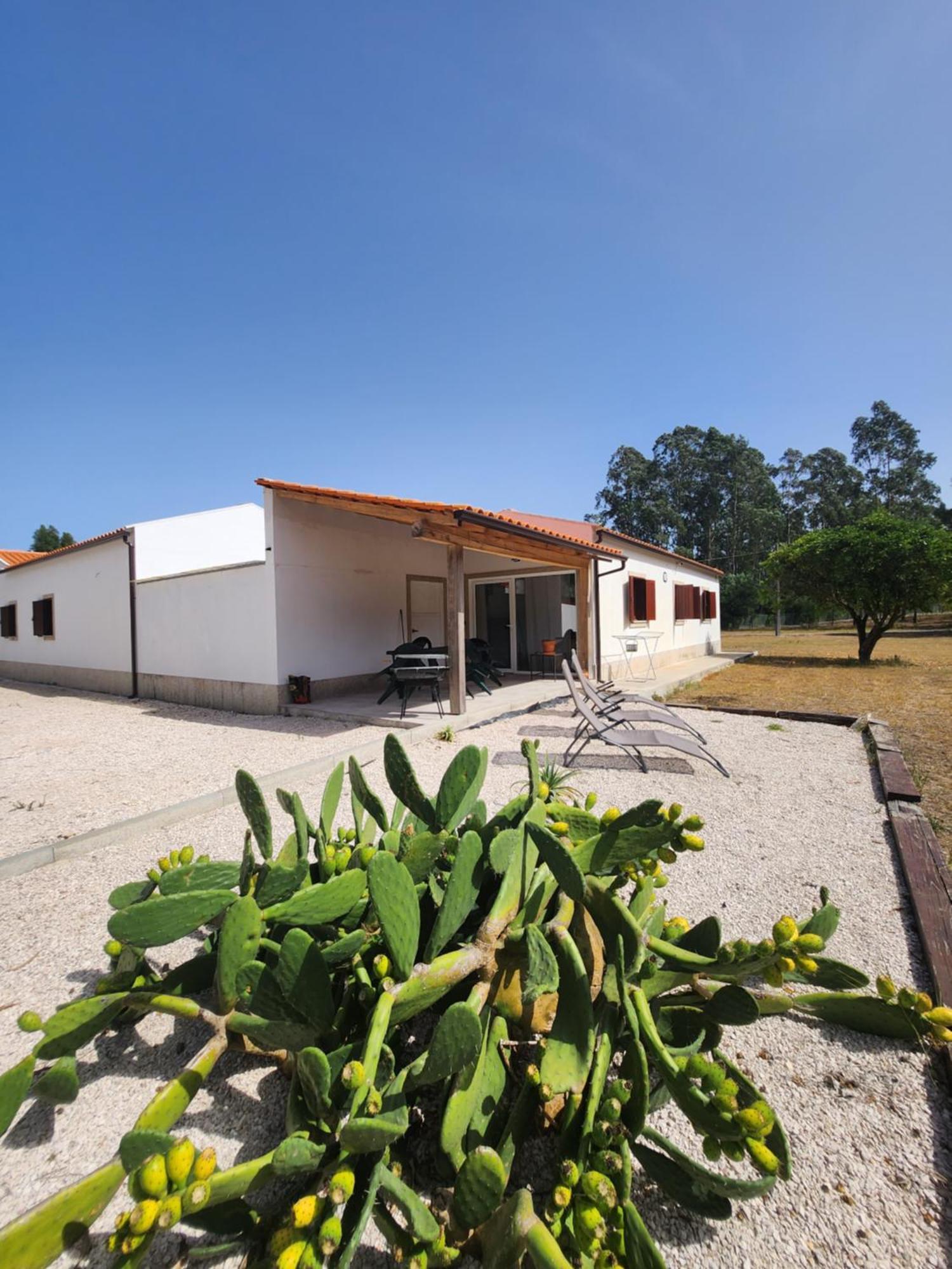 Quinta Das Camarinhas Cantanhede Dış mekan fotoğraf
